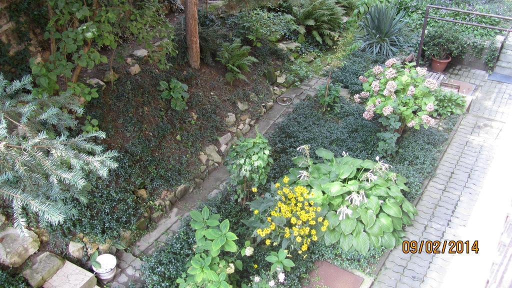 Judy And Sandor Apartmen Budapest Rum bild